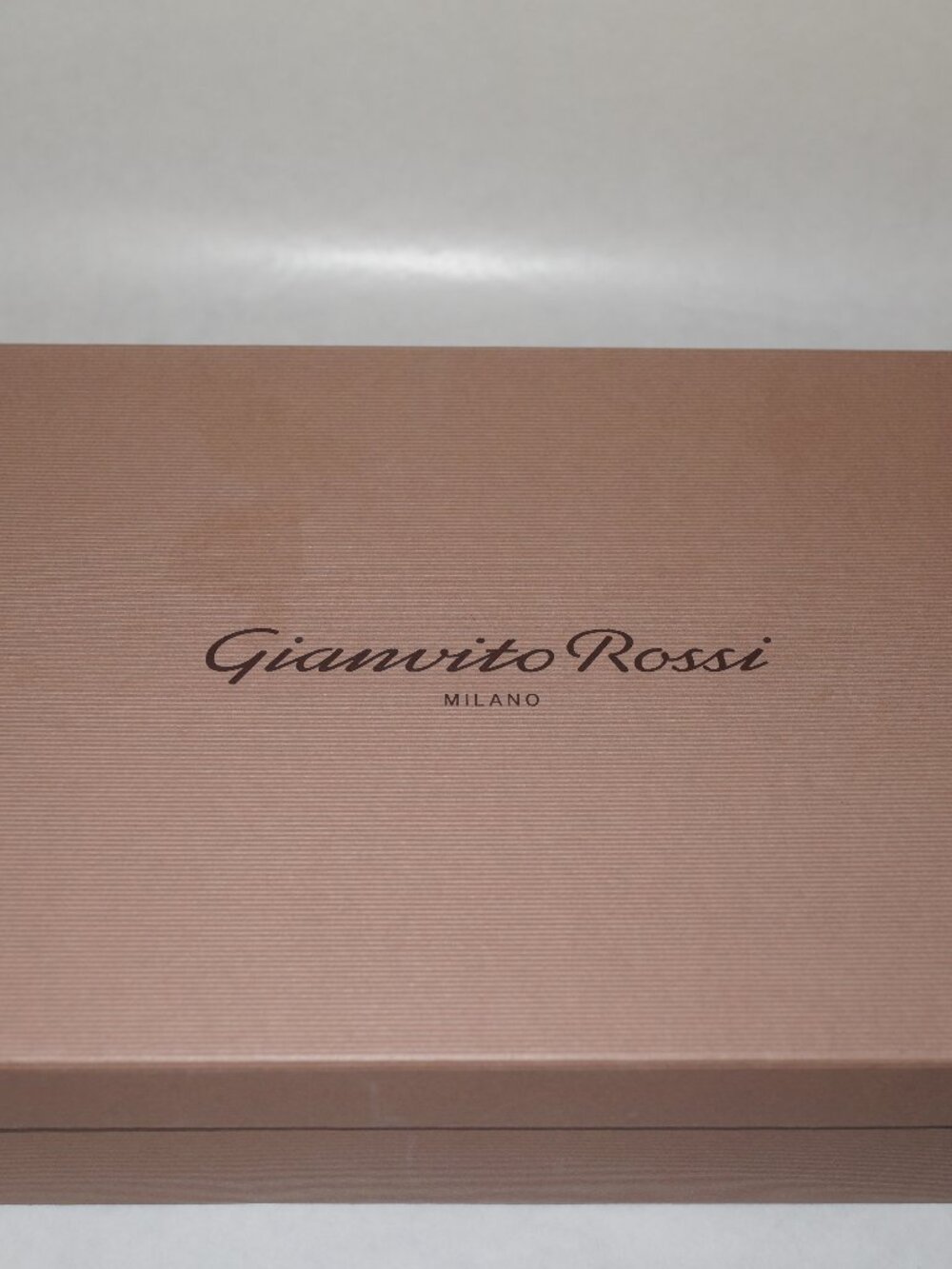 Gianvito Rossi Empty Shoe Box + Dust Bag